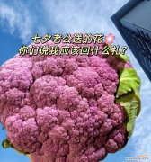 情人节送西蓝花有什么特别寓意？