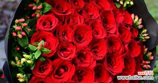 浪漫花海中的鲜花语言 玫瑰花