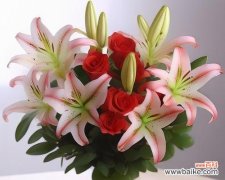 象征爱情的花通常寓意着什么？