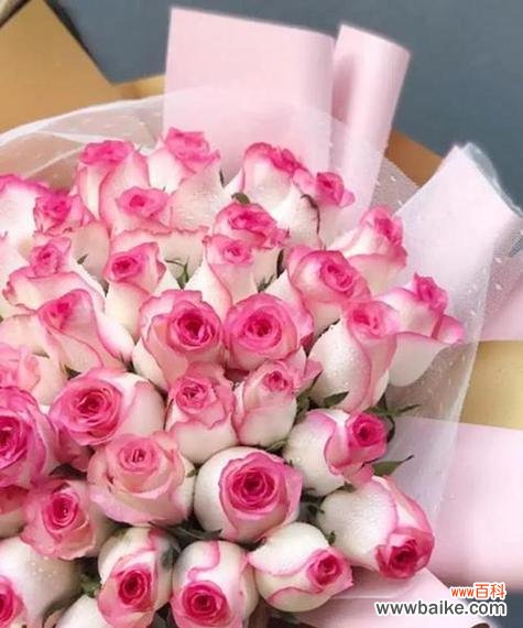 哪种花是爱情的象征？它有哪些特别的意义？