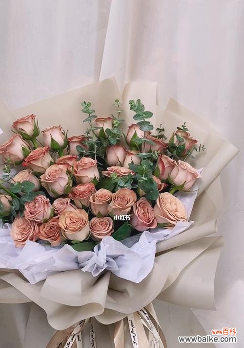 探秘卡布奇诺玫瑰的深意 卡布奇诺玫瑰的花语与寓意