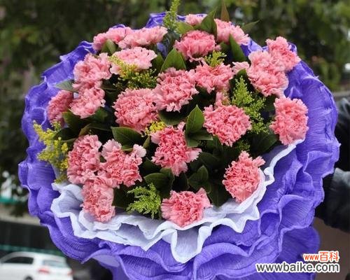 探索康乃馨不同颜色的花语 康乃馨的花语之色彩传递