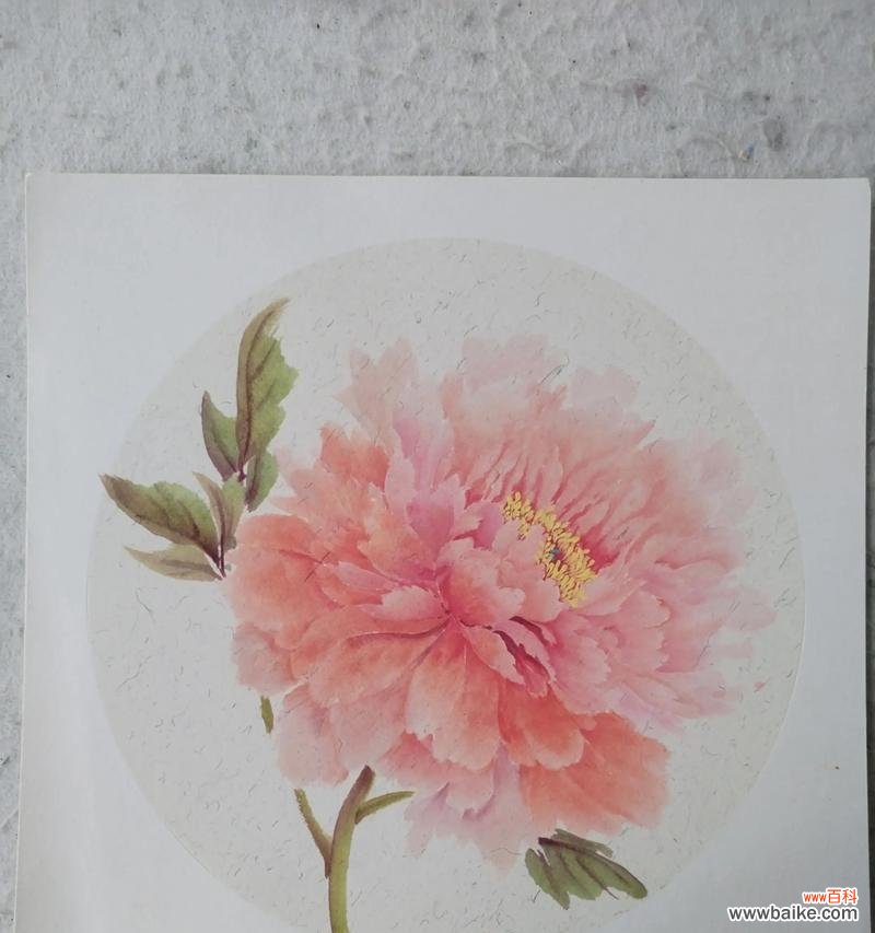 哪种花象征着富贵？花开富贵的花有哪些？