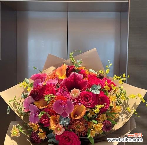 多色玫瑰花束的寓意是什么？多颗玫瑰代表什么意义？