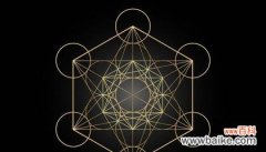 冰晶花的黑色调代表什么意义？