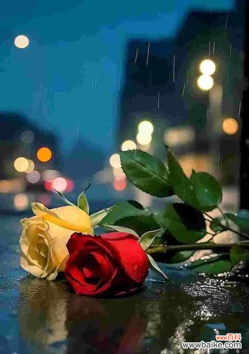 哪种花象征着悲惨爱情？它的故事是什么？