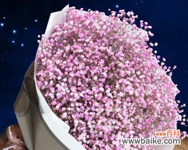 粉色手捧花的寓意是什么?适合哪些场合使用?