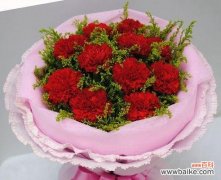 美丽的康乃馨花语及其象征意义 康乃馨——永恒的爱与祝福