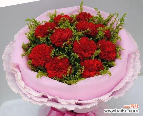 美丽的康乃馨花语及其象征意义 康乃馨——永恒的爱与祝福