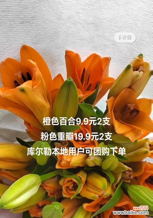 四朵橙色百合花代表什么？它们的寓意是什么？