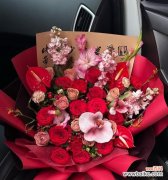 象征婚姻幸福的花是什么含义？