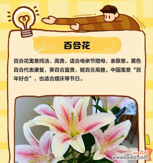 母亲节送花有哪些寓意和象征意义？