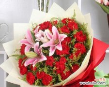 花海中的生命之美 康乃馨的寓意与象征意义