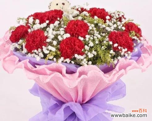 以康乃馨朵数所代表的美好寓意 康乃馨朵数的意义与象征