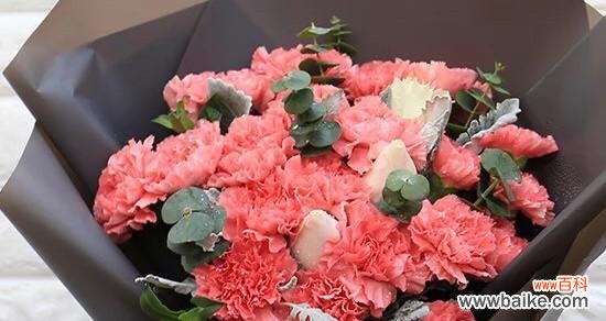 以康乃馨朵数所代表的美好寓意 康乃馨朵数的意义与象征