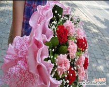 探索康乃馨花束所蕴含的情感和象征意义 康乃馨花束的花语与寓意