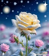 哪种花象征自由和爱情？自由和爱情的花卉代表是什么？