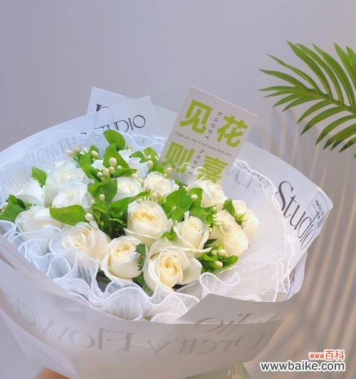 白色茉莉花代表什么意义？送茉莉花的寓意是什么？