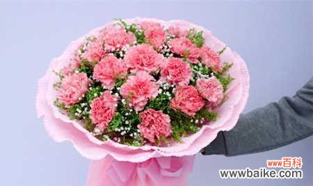 康乃馨花的内涵和赠送意义解读 康乃馨的象征意义及送人代表的含义