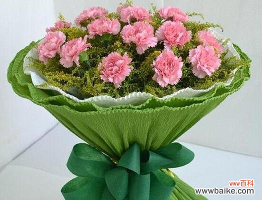 传递爱与美的康乃馨 康乃馨的花语与象征意义