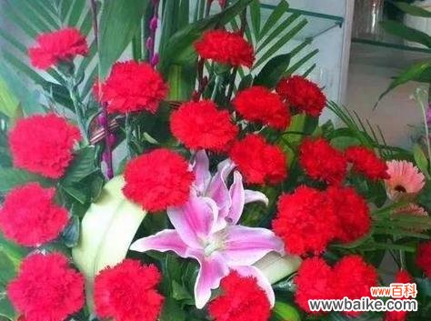 传递爱与美的康乃馨 康乃馨的花语与象征意义