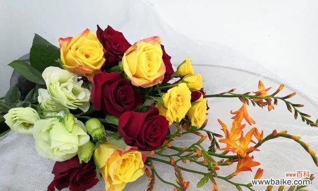 用花的语言表达亲情的力量 花语传递的亲情之美