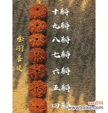 菩提染色象征哪种花？菩提染色花的寓意是什么？