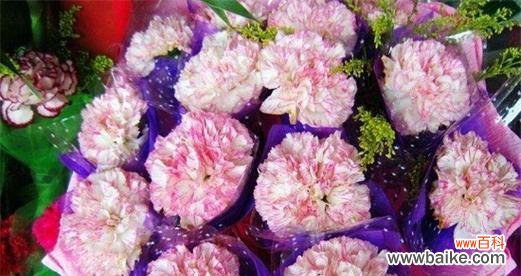 传达爱与尊敬的康乃馨花语 康乃馨花的寓意与意义