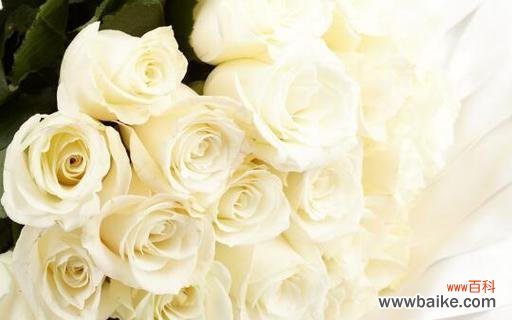 带着悲伤的花朵 枯萎的白玫瑰