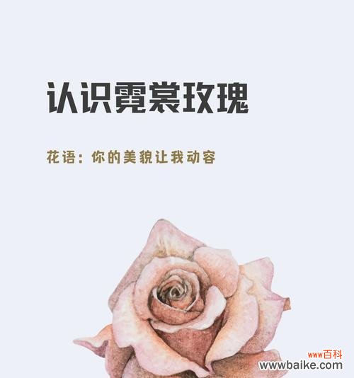 复色玫瑰花代表什么？复色玫瑰花的象征意义是什么？