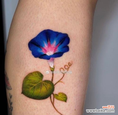 纹身中各种颜色花代表什么？它们的寓意有哪些？