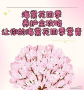 为何说有你的季节花最美？