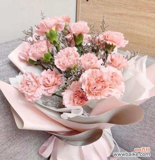 三八节送什么花寓意最好?