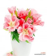 三八节送什么花寓意最好？