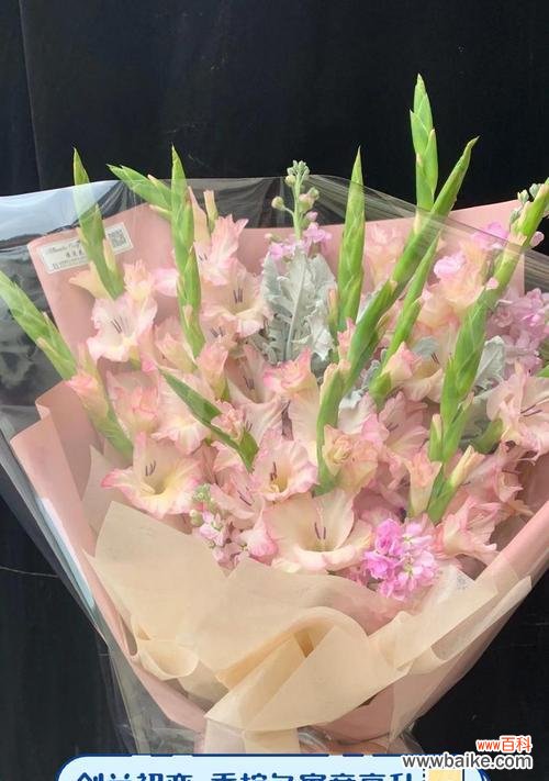 香槟色花朵寓意何在？