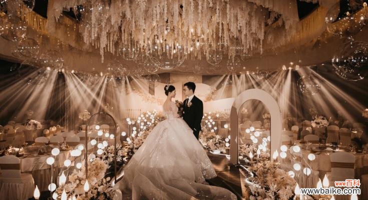 香槟色花朵寓意何在？