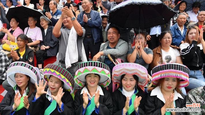 米花节的由来及其历史意义是什么？