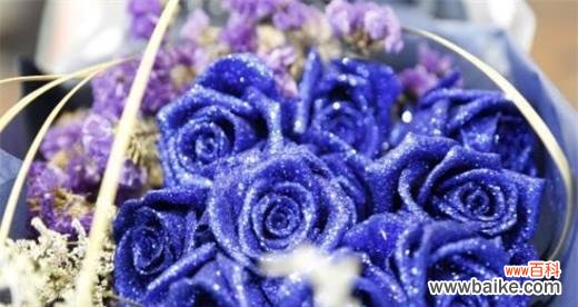 解读蓝玫瑰的意义 以蓝玫瑰代表的含义——寻找希望与神秘的象征