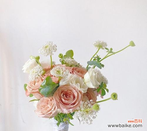 手捧花通常有哪些花语?它们象征着什么意义?