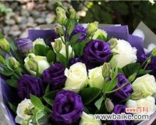 绿色花在生日中代表什么？