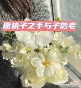 手捧花送出去代表什么？有哪些特别的含义？