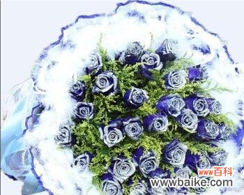 唯美而神秘的蓝色花朵 蓝玫瑰花的意义与象征——传递无尽神秘与温柔