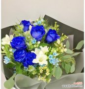 探寻蓝玫瑰的象征意义及其传奇之处 蓝玫瑰