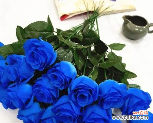 探索蓝色玫瑰花的神秘魅力 蓝色玫瑰花的意义与象征