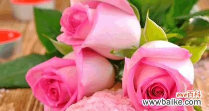 用不同颜色玫瑰诠释爱情 花色玫瑰的花语之意义深远