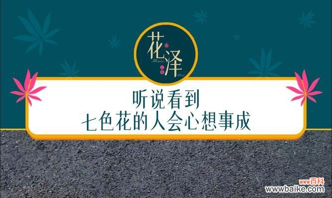七色花的寓意和意思是什么?七色花在文化中代表什么?