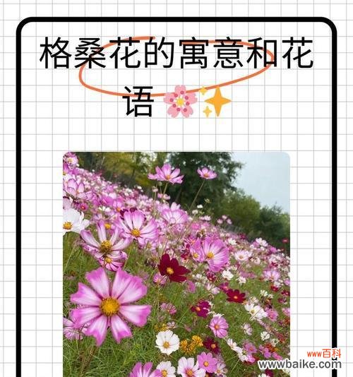 哪种花寓意身体健康？它的花语是什么？