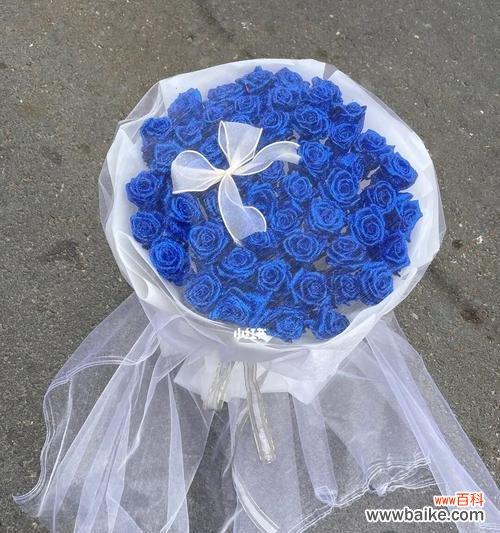 解读蓝色玫瑰的美丽之谜 蓝色玫瑰的花语与寓意