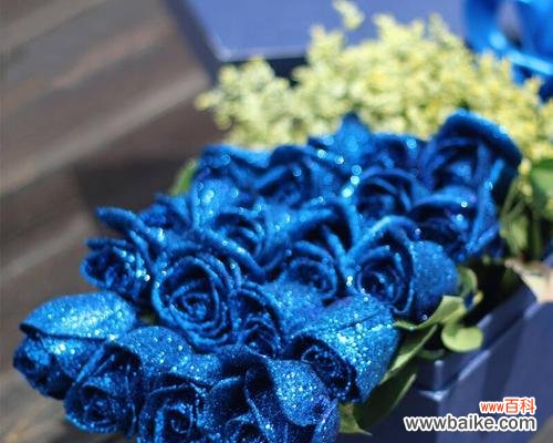 蓝色玫瑰代表的爱情表达方式及象征意义 男人送女人蓝色玫瑰的意义