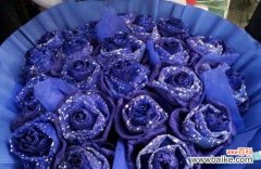 以蓝色玫瑰花为载体 蓝色玫瑰花语——寄托永恒的爱与祝福